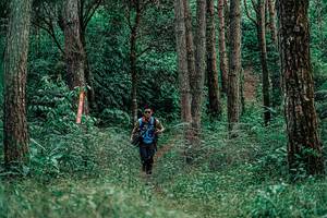 BIB: 
                            <button type="button" onclick="openModal(25236485)" class="btn btn-primary btn-sm float-right btn-popup" data-toggle="modal" data-target=".modal-high-quality">
                        <i class="fas fa-shopping-cart"></i> Add to Cart
                    </button>
                                            <button type="button" onclick="isThisMe(25236485, true)" class="btn btn-success btn-sm float-right btn-popup btn-isme hidden" data-toggle="tooltip" data-placement="bottom" title="นี่คือรูปของคุณใช่ไหม คลิกที่นี่เพื่อเอาเข้าอัลบั้ม">
                        <i class="fas fa-plus"></i> Add to album
                    </button>
                    <button type="button" onclick="isThisMe(25236485, false)" class="btn btn-warning btn-sm float-right btn-popup btn-isnotme hidden">
                        <i class="fas fa-ban"></i> Remove from album
                    </button>